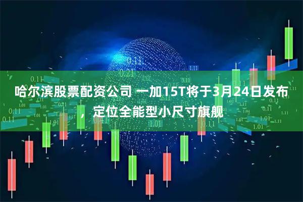 哈尔滨股票配资公司 一加15T将于3月24日发布，定位全能型小尺寸旗舰
