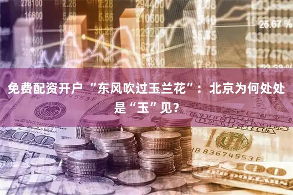 免费配资开户 “东风吹过玉兰花”：北京为何处处是“玉”见？